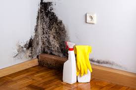 Best Air Quality Testing for Mold Spores  in USA